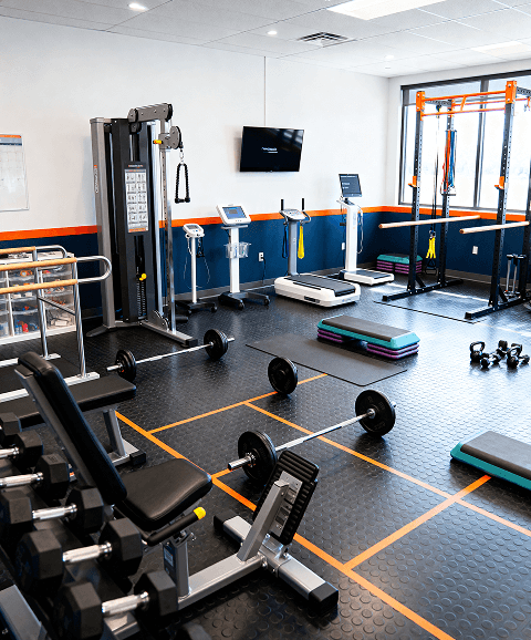 Beat Sarcopenia, Beat Dynapenia